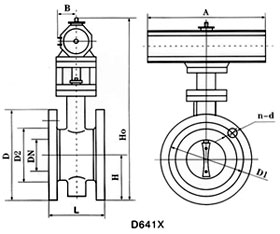 ߴD